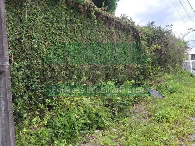 Imagem 5: Terreno-À VENDA-Adrianópolis-Manaus-AM