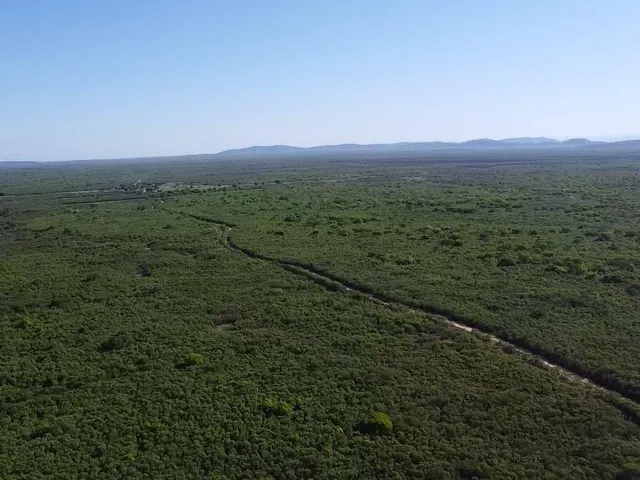 Imagem: Fazenda múltiplas aptidões para venda