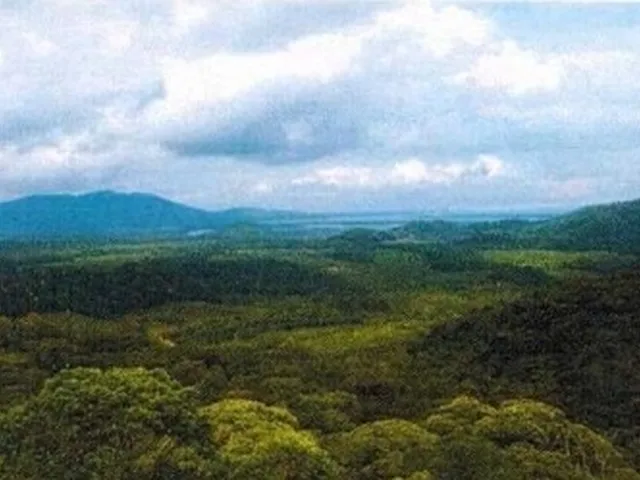 Imagem: Fazenda em Mata Nativa para venda em Guaraqueçaba-PR