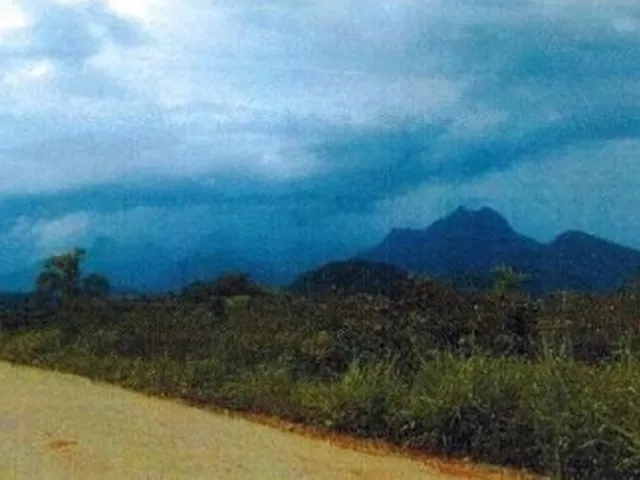 Imagem 2: Fazenda em Mata Nativa para venda em Guaraqueçaba-PR, área com 248 hectares, ideal para