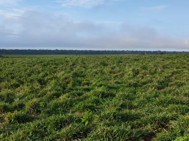 Imagem: Fazenda dupla aptidao para venda na região