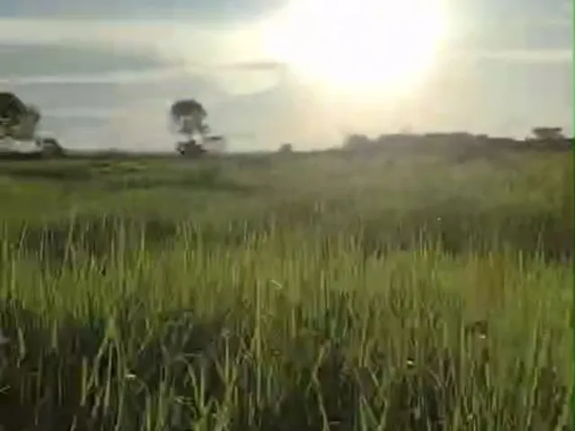 Imagem: Fazenda dupla aptidao para venda na região