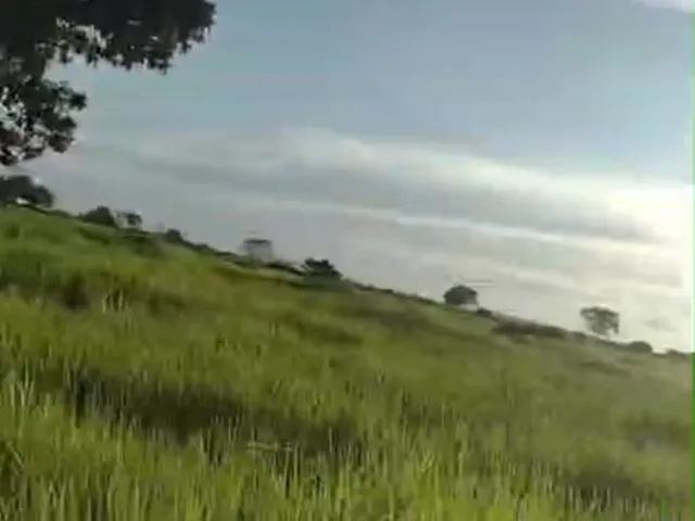 Imagem 2: Fazenda dupla aptidao para venda na região de Cariri do Tocantins-TO com 998 hectares