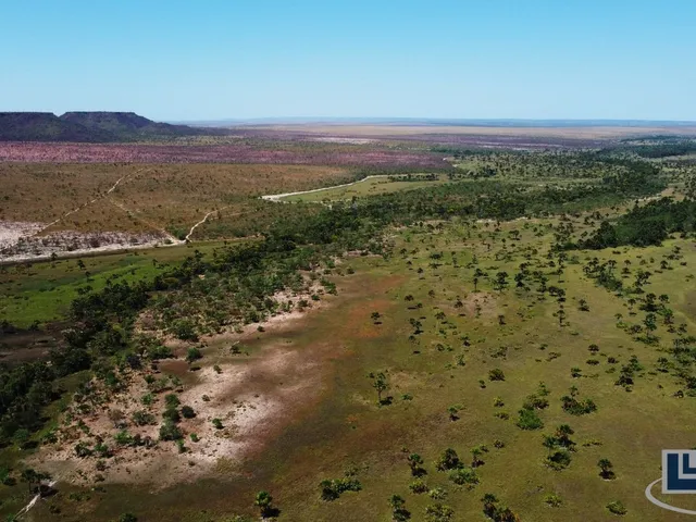 Imagem 2: Fazenda dupla aptidao para venda em Rio da Conceição-To com 1.800 hectares, toda