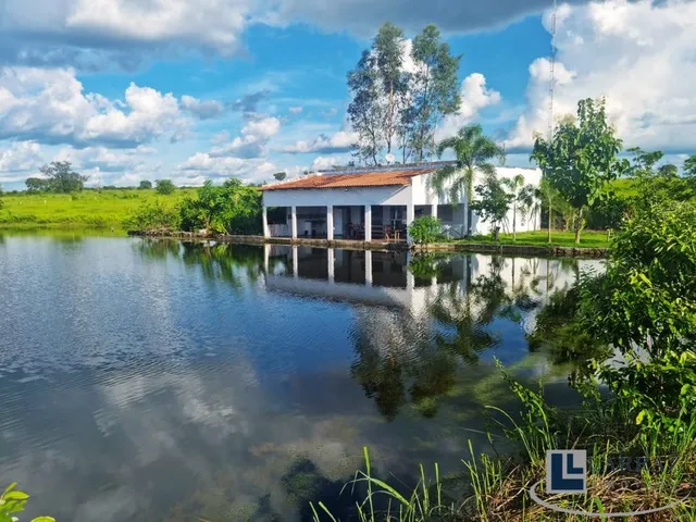 Imagem 15: Fazenda dupla aptidao para venda na região de Duere-TO com 1.339 hectares, excelente