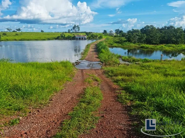 Imagem 3: Fazenda dupla aptidao para venda na região de Duere-TO com 1.339 hectares, excelente
