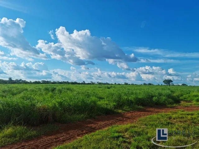 Imagem 7: Fazenda dupla aptidao para venda na região de Duere-TO com 1.339 hectares, excelente