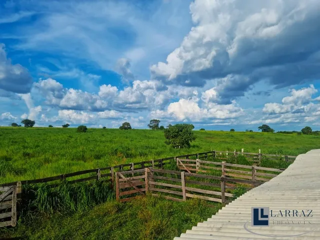 Imagem 13: Fazenda dupla aptidao para venda na região de Duere-TO com 1.339 hectares, excelente
