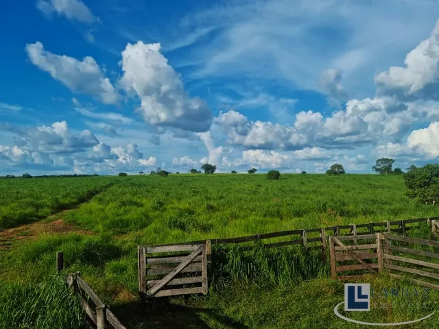 Imagem 11: Fazenda dupla aptidao para venda na região de Duere-TO com 1.339 hectares, excelente