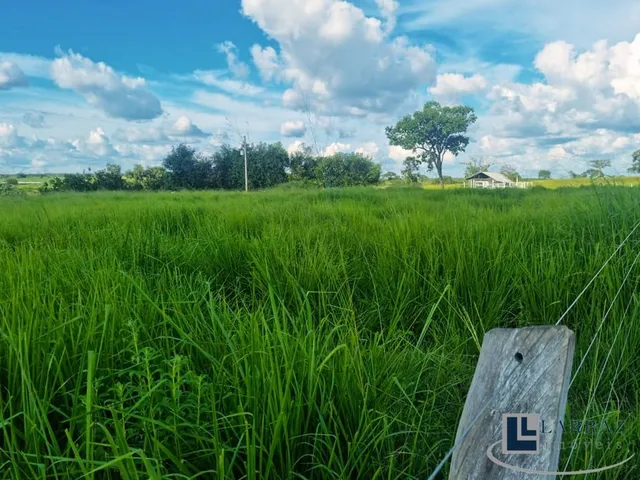 Imagem 8: Fazenda dupla aptidao para venda na região de Duere-TO com 1.339 hectares, excelente