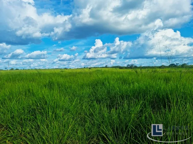 Imagem 5: Fazenda dupla aptidao para venda na região de Duere-TO com 1.339 hectares, excelente