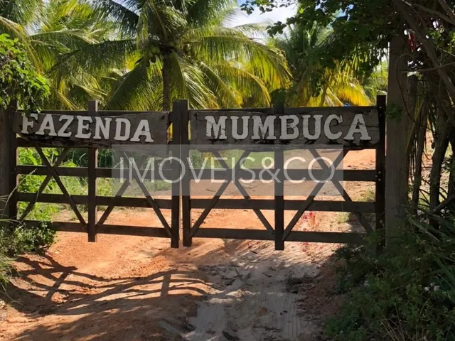 Imagem 4: ESPETACULAR: Fazenda com vista para o mar, à venda em Conde-BA, Barra do Itariri - 2