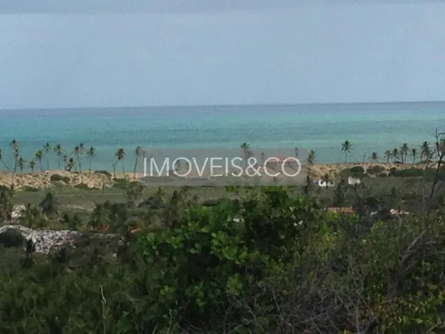 Imagem 7: ESPETACULAR: Fazenda com vista para o mar, à venda em Conde-BA, Barra do Itariri - 2