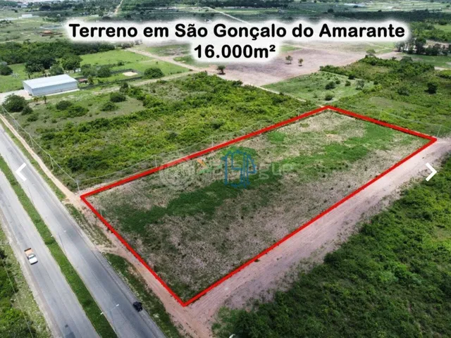 Imagem: TERRENO / ÁREA EM SÃO GONSALO - Área
