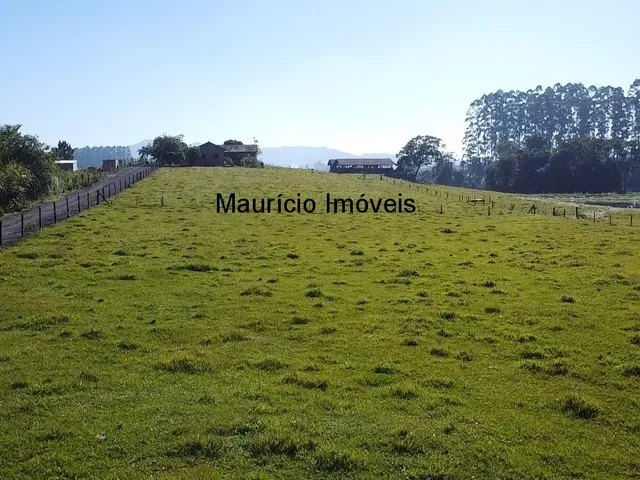 Imagem 5: Duas casas, galpão, rancho, terreno 30.000,00 m², Arroio Grande, Pouso Redondo, S.C