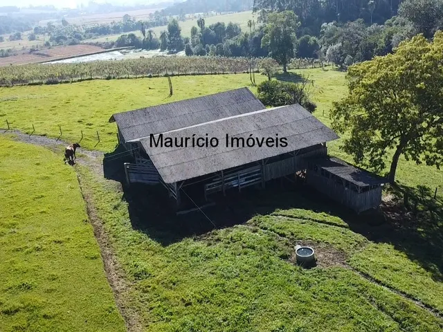 Imagem 3: Duas casas, galpão, rancho, terreno 30.000,00 m², Arroio Grande, Pouso Redondo, S.C