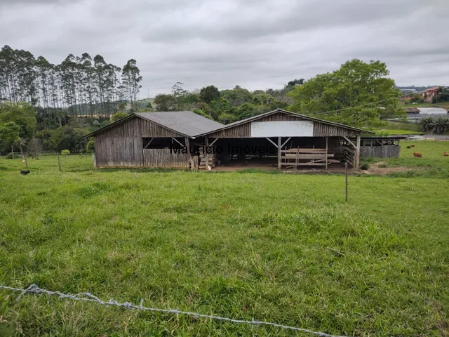 Imagem 6: Duas casas, galpão, rancho, terreno 30.000,00 m², Arroio Grande, Pouso Redondo, S.C