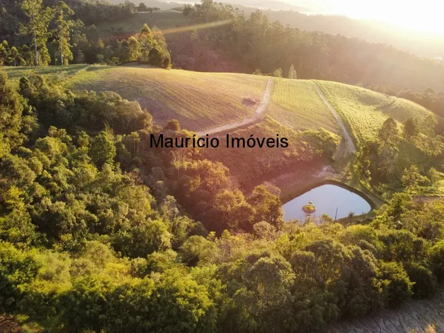 Imagem 5: Sitio com 9,6 hectares na Rua Nelson Duarte da Silva, Serra da Gabiroba, Rio do Oeste
