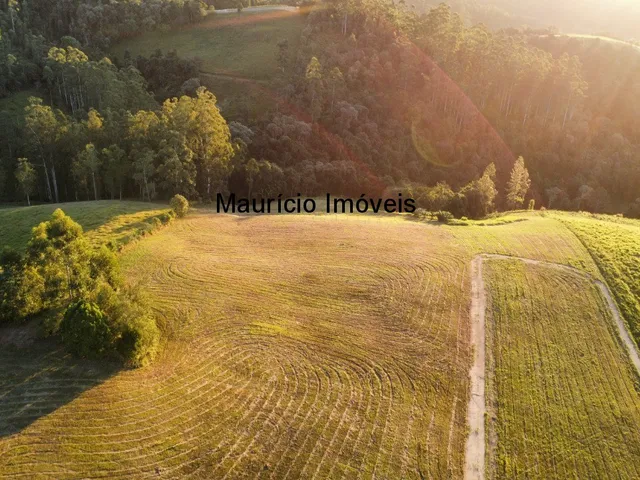 Imagem 15: Sitio com 9,6 hectares na Rua Nelson Duarte da Silva, Serra da Gabiroba, Rio do Oeste