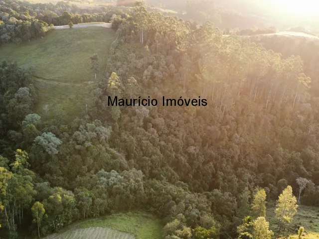 Imagem 4: Sitio com 9,6 hectares na Rua Nelson Duarte da Silva, Serra da Gabiroba, Rio do Oeste