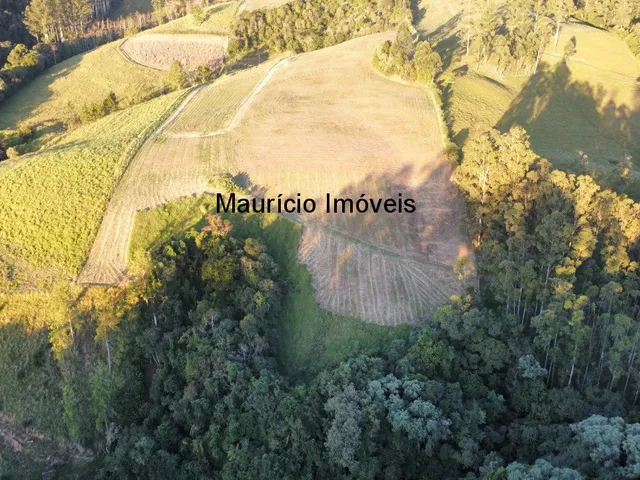 Imagem 14: Sitio com 9,6 hectares na Rua Nelson Duarte da Silva, Serra da Gabiroba, Rio do Oeste