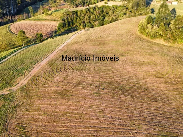 Imagem 8: Sitio com 9,6 hectares na Rua Nelson Duarte da Silva, Serra da Gabiroba, Rio do Oeste