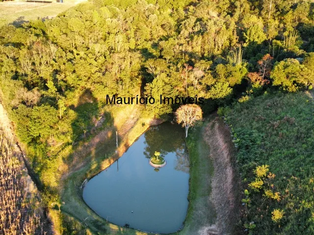 Imagem 11: Sitio com 9,6 hectares na Rua Nelson Duarte da Silva, Serra da Gabiroba, Rio do Oeste