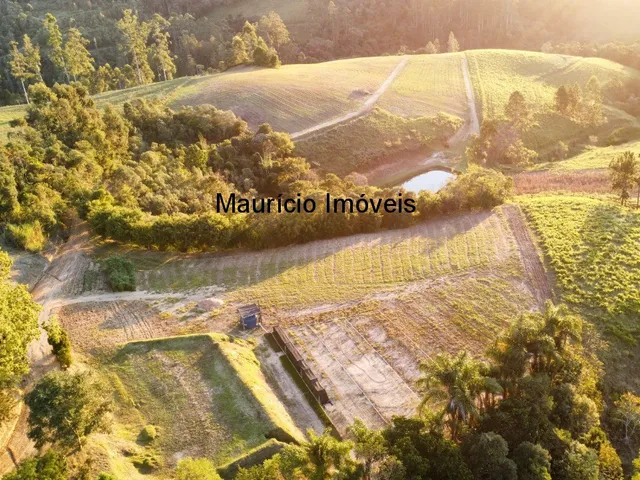 Imagem 7: Sitio com 9,6 hectares na Rua Nelson Duarte da Silva, Serra da Gabiroba, Rio do Oeste