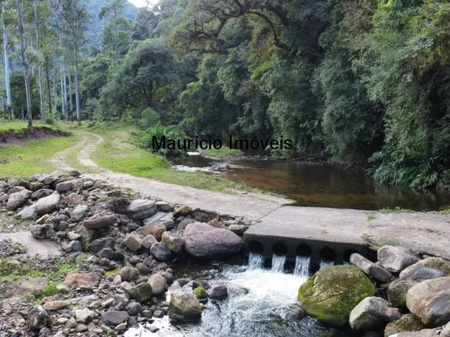 Imagem: Fazenda com 250 hectares, Fazenda Passa
