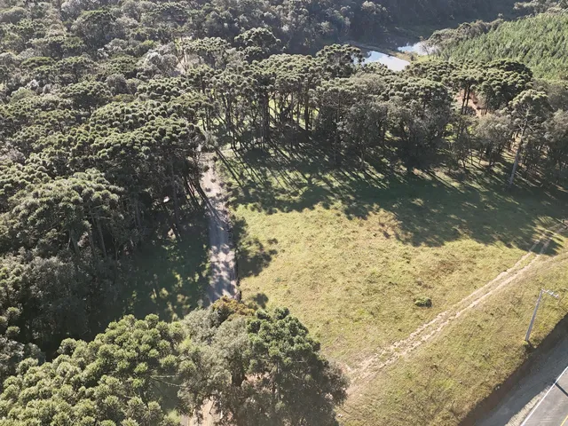 Imagem 5: CHÁCARA ESCRITURADA EM CAMPO ALEGRE | BATEIAS DE BAIXO | 30535 M²
