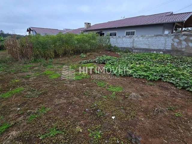 Imagem 3: TERRENO - RIO ANTINHAS - PETROLÂNDIA - SC