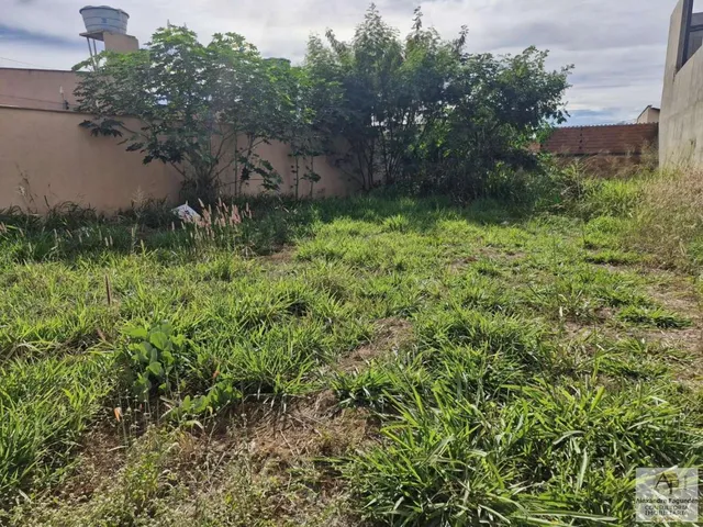 Imagem 5: Lote para Venda em Aparecida de Goiânia, Jardim Cristal