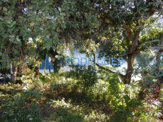 Imagem 1: Casa de luxo em condomínio: 4 quartos, 4 suítes, 3 salas, 6 banheiros, 6 vagas de