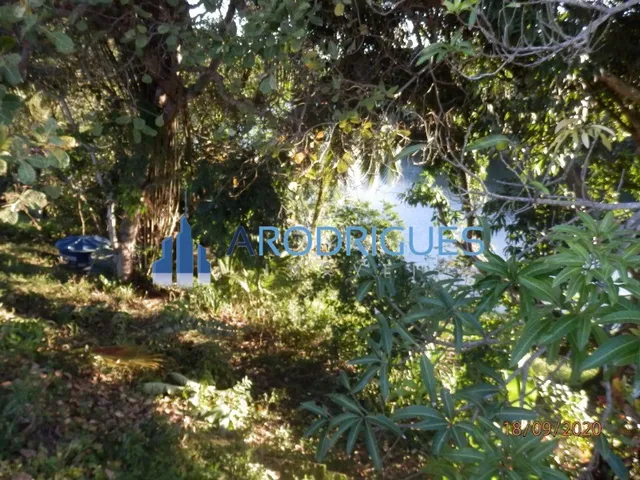 Imagem 2: Casa de luxo em condomínio: 4 quartos, 4 suítes, 3 salas, 6 banheiros, 6 vagas de