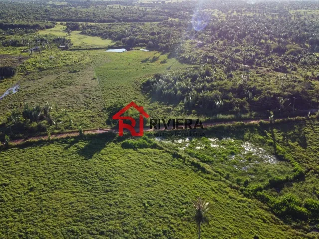 Imagem: A fazenda possui 700m² de Área e está localizado em Centro