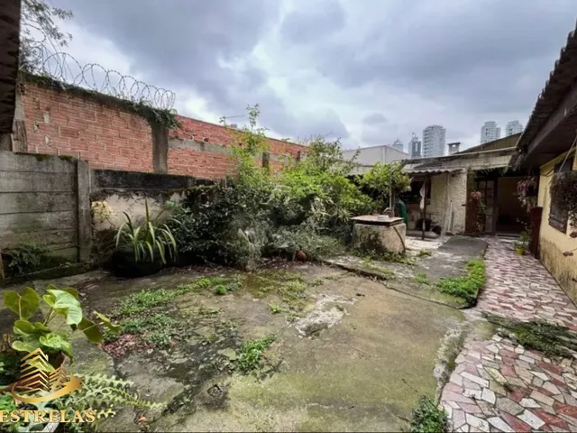 Imagem 6: Espaçosa casa à venda em Curitiba-PR, no Bigorrilho: 4 quartos, 1 suíte, 2 salas, 2