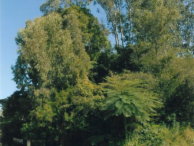 Imagem 5: Terreno à venda em localização privilegiada em Itajubá-MG, no bairro Rebourgeon