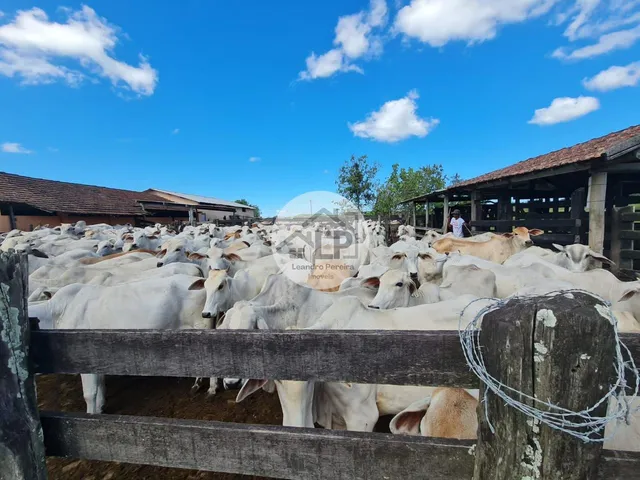 Imagem 15: Fazenda/Sítios/Chácaras de 2300000m² no bairro Banqueiros, em Araruama
