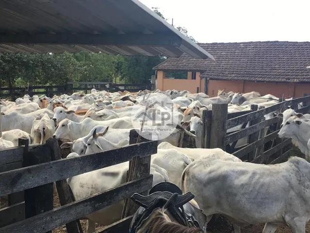 Imagem 12: Fazenda/Sítios/Chácaras de 2300000m² no bairro Banqueiros, em Araruama