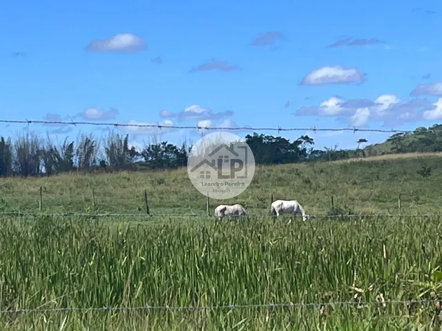 Imagem 12: Fazenda/Sítios/Chácaras de 2300000m² no bairro Banqueiros, em Araruama