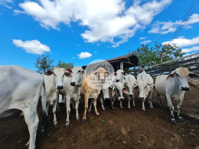 Imagem 13: Fazenda/Sítios/Chácaras de 2300000m² no bairro Banqueiros, em Araruama