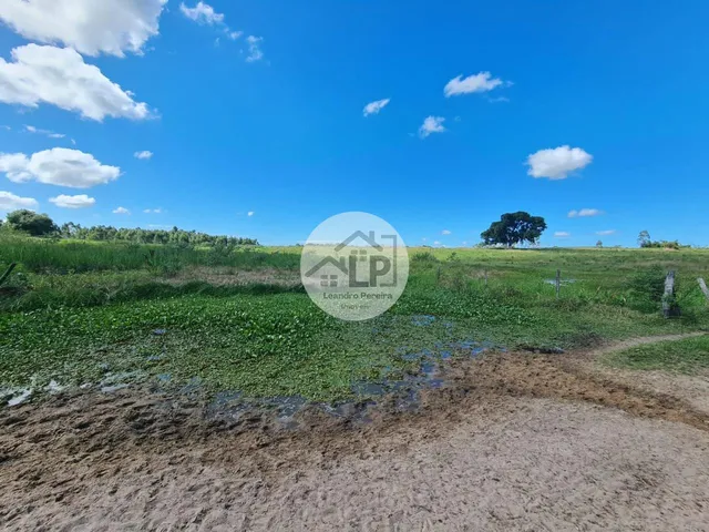Imagem 2: Fazenda/Sítios/Chácaras de 2300000m² no bairro Banqueiros, em Araruama