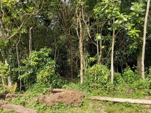 Imagem: O terreno possui 504m² de Área e está localizado em