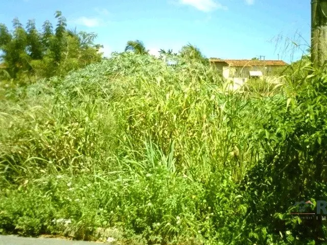 Imagem 4: Terreno para venda, Santa Rosa, Cuiabá