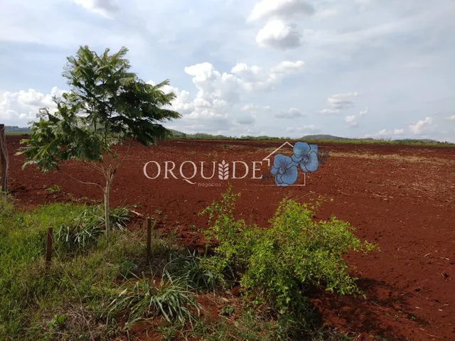 Imagem: Chácara à venda em Santo Antônio da Barra-GO