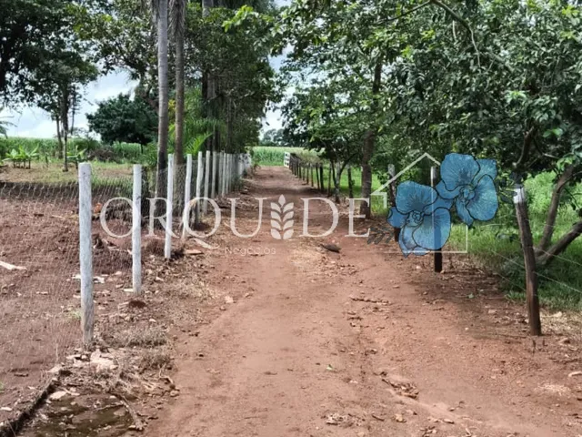 Imagem 13: Chácara à venda à apenas 4 Km de Santo Antônio da Barra-GO, Setor Central: 5 quartos