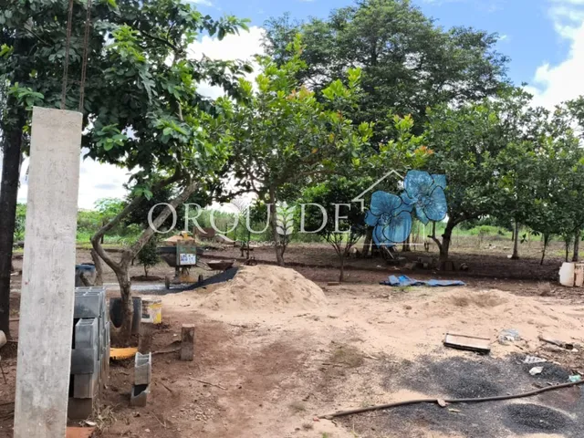 Imagem 11: Chácara à venda à apenas 4 Km de Santo Antônio da Barra-GO, Setor Central: 5 quartos