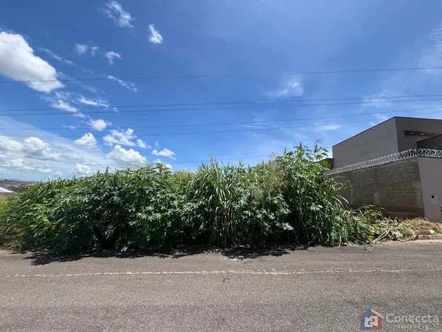 Imagem 2: Terreno à Venda no Bairro Afonso Queiroz em Patos de Minas-MG Terreno de 231m² com