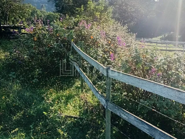 Imagem: Imperdível Sitio à venda em Lagoinha-SP