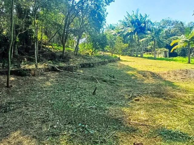 Imagem: Terreno em meio a natureza